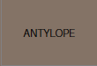 Antylope